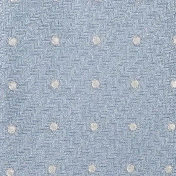 Altea - Cravattino celeste con pois ricamati per uomo | 2311252 03 ticino 2