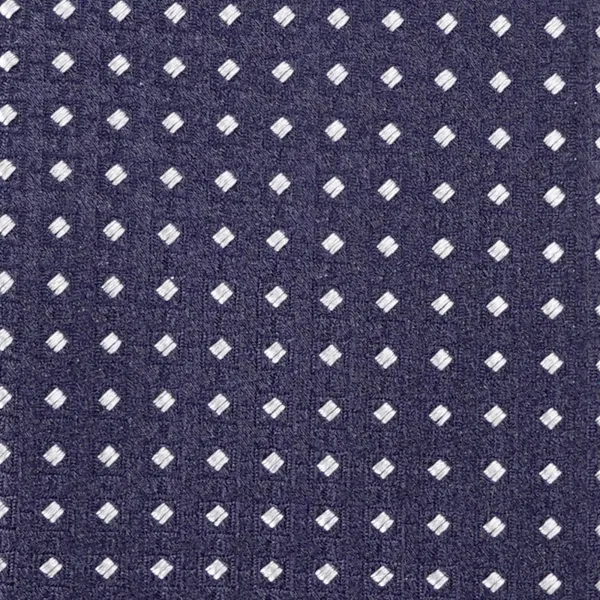 Altea - Cravatta blu con pois ricamati per uomo | 2221350 06 ticino 2