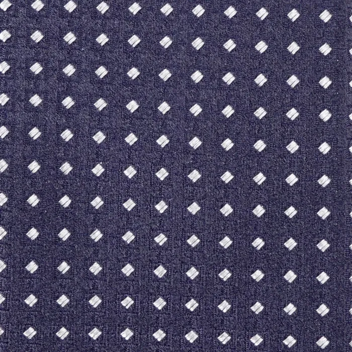 Altea - Cravatta blu con pois ricamati per uomo | 2221350 06 ticino