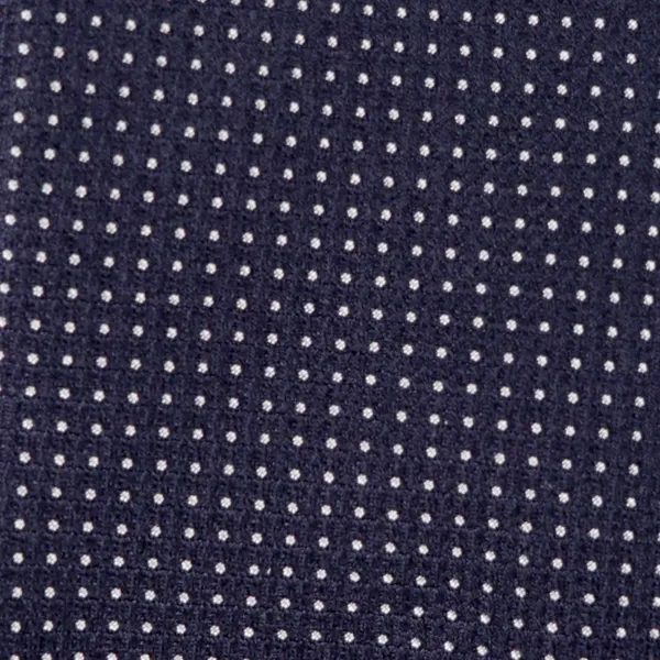 Altea - Cravatta blu con pois per uomo | 2221344 09 ticino 2