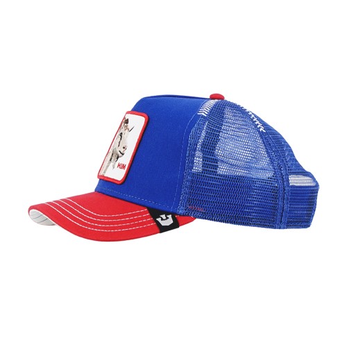 Goorin Bros. - Cappello multicolore con visiera e retro in retina con patch 2