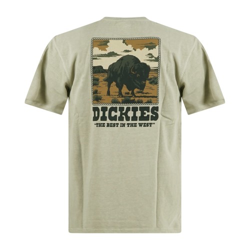 Dickies - T-shirt verde Darrtown con stampa logo sul fronte e retro per uomo |